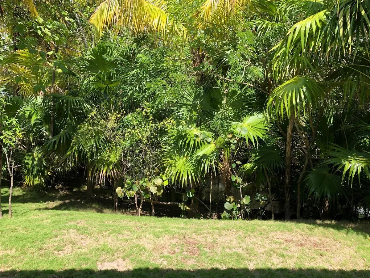 Blue Diamond Luxury Boutique (Adults Only) Hotel El Marlyn Azul